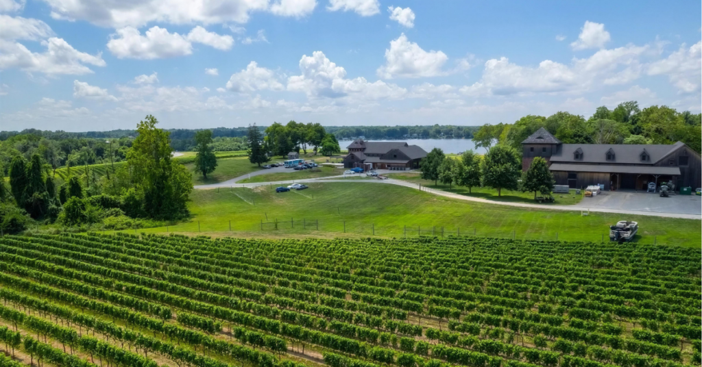 bohemia-aerial-vineyard-estate.jpg Aerial view of Bohemia Manor Farm vineyard estate in Chesapeake City, Maryland, showing rows of grapevines, waterfront resort buildings, and surrounding acreage