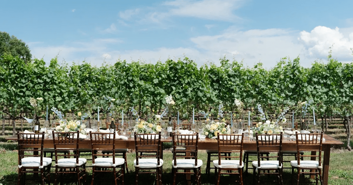 Elegant outdoor dining table set for a contracted event among vineyard rows at Bohemia Manor Farm, Chesapeake City, Maryland