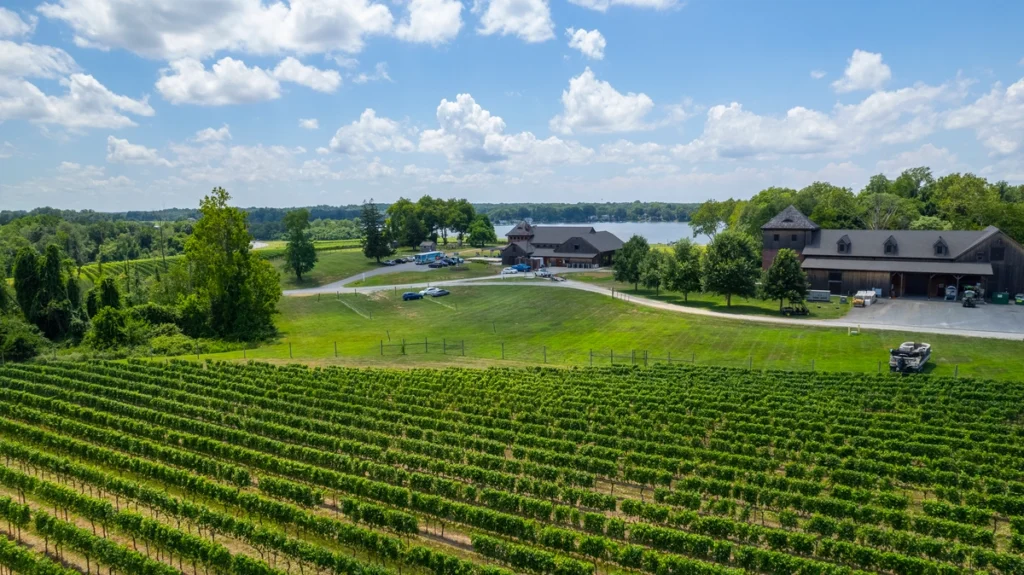bohemia-manor-farm-waterfront-vineyard-aerial.jpg Aerial view of Bohemia Manor Farm vineyards with waterfront resort buildings in Chesapeake City, Maryland