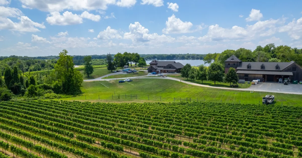 Aerial view of Bohemia Manor Farm in Chesapeake City, Maryland, showing vineyards and waterfront — an example of an operating real estate asset held in a syndication