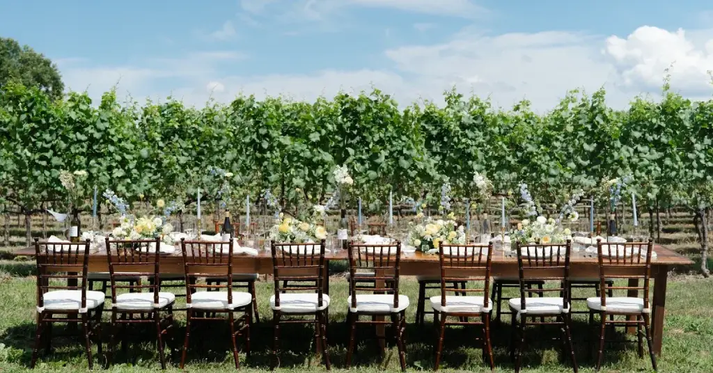 bohemia-manor-farm-vineyard-event.jpg Table set for an outdoor event in the vineyards at Bohemia Manor Farm in Chesapeake City, MD, an experiential hospitality property owned by the funds offered by Accountable Equity and operated by VIVÂMEE Hospitality